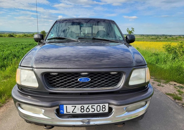 Ford F150 cena 24600 przebieg: 390000, rok produkcji 1998 z Serock małe 137